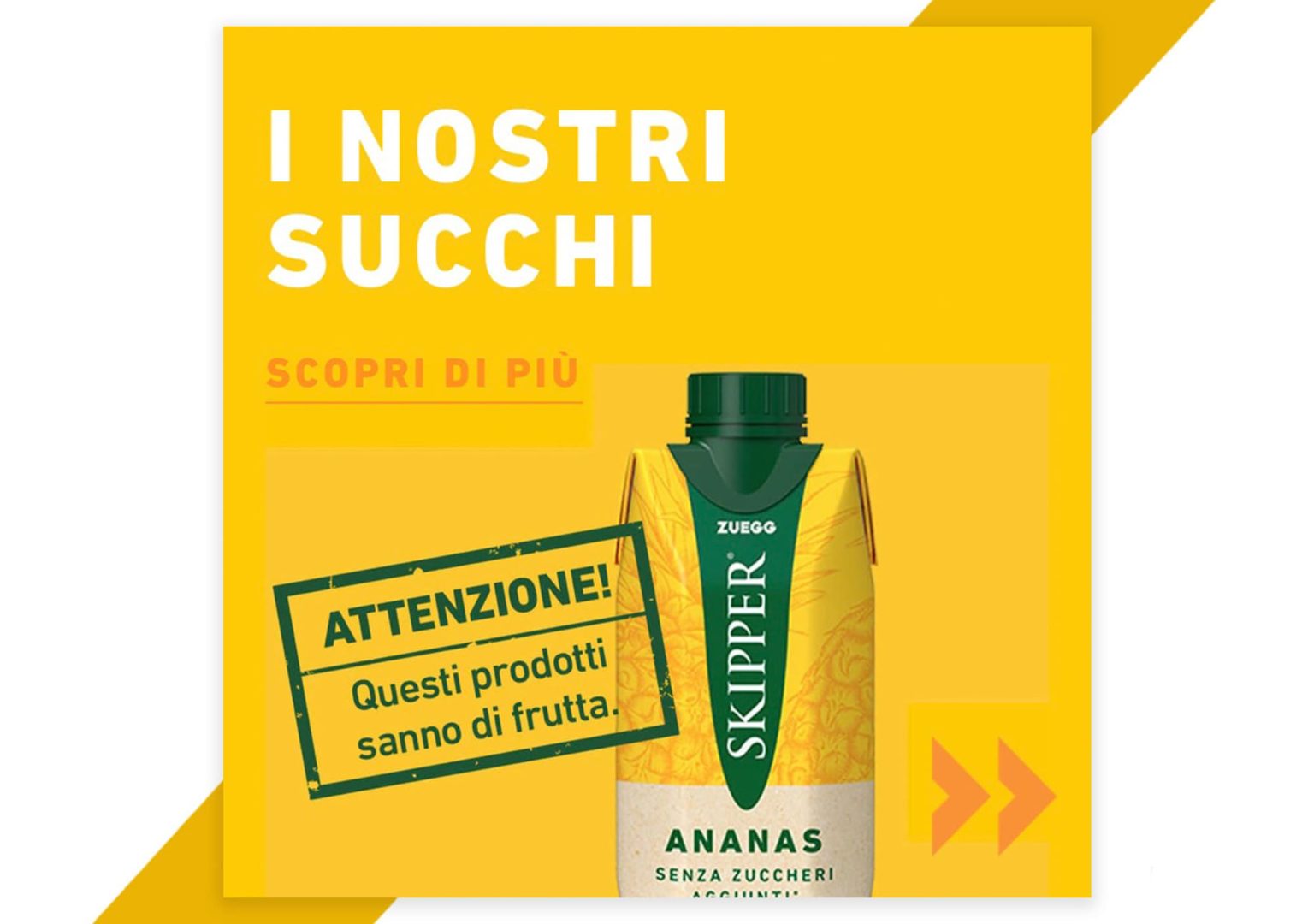 Tono di voce ironico Skipper Zuegg