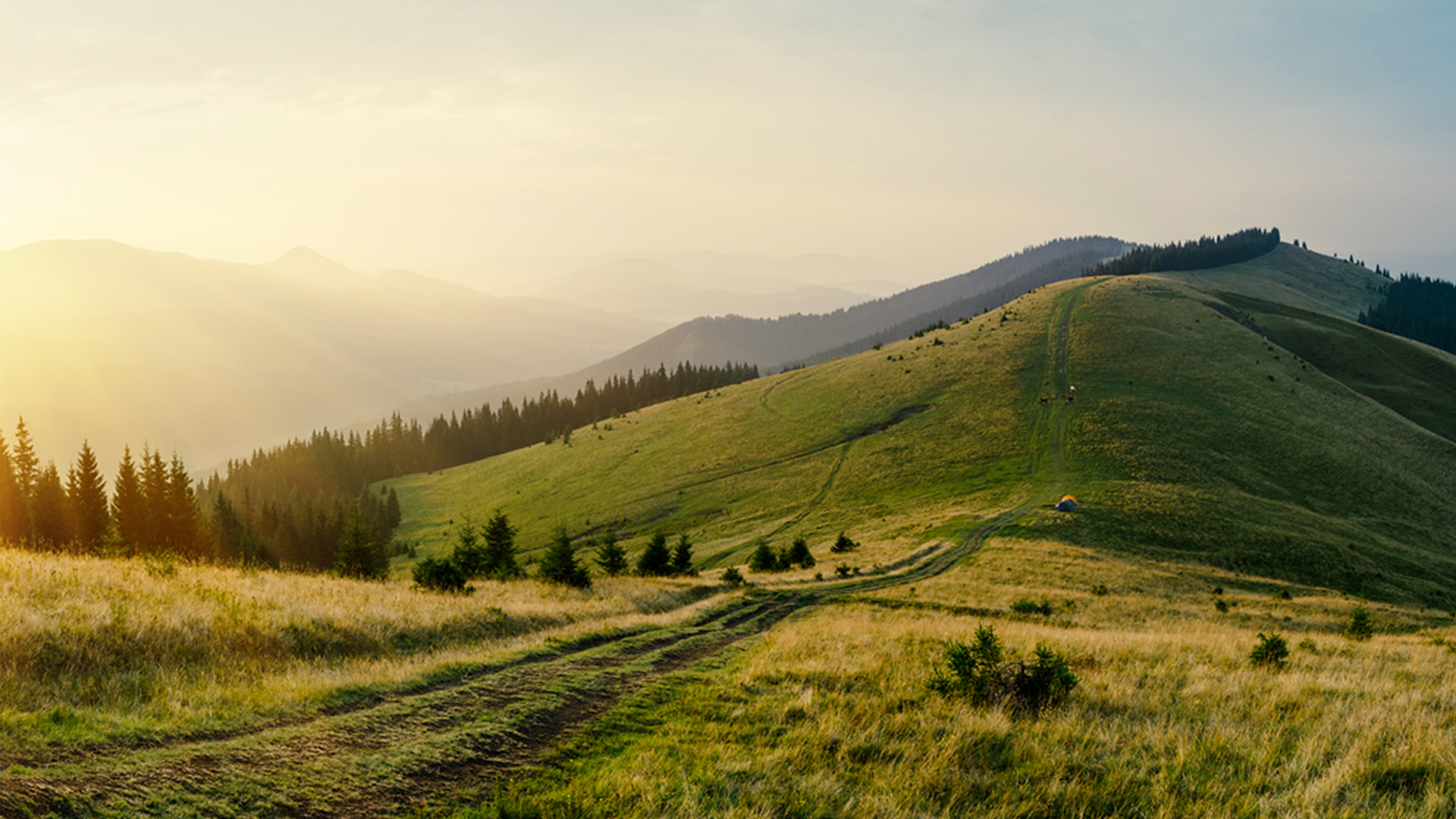 descrivere con 5 sensi