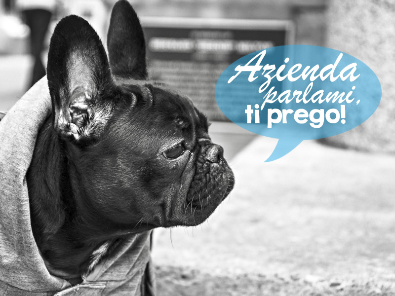 Scopri di più sull'articolo Conversare col giusto copywriting: guarda come si fa