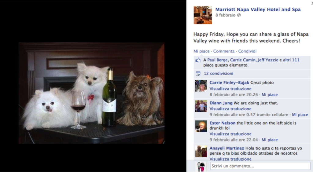 gestione social hotel gestione social hotel